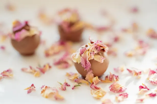 Moon Casino Android/iOS App